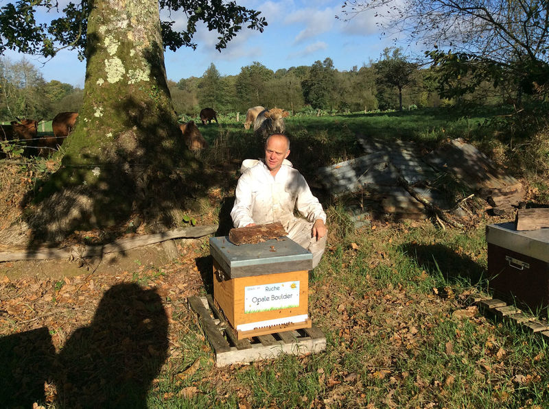 La ruche Opale Boulder