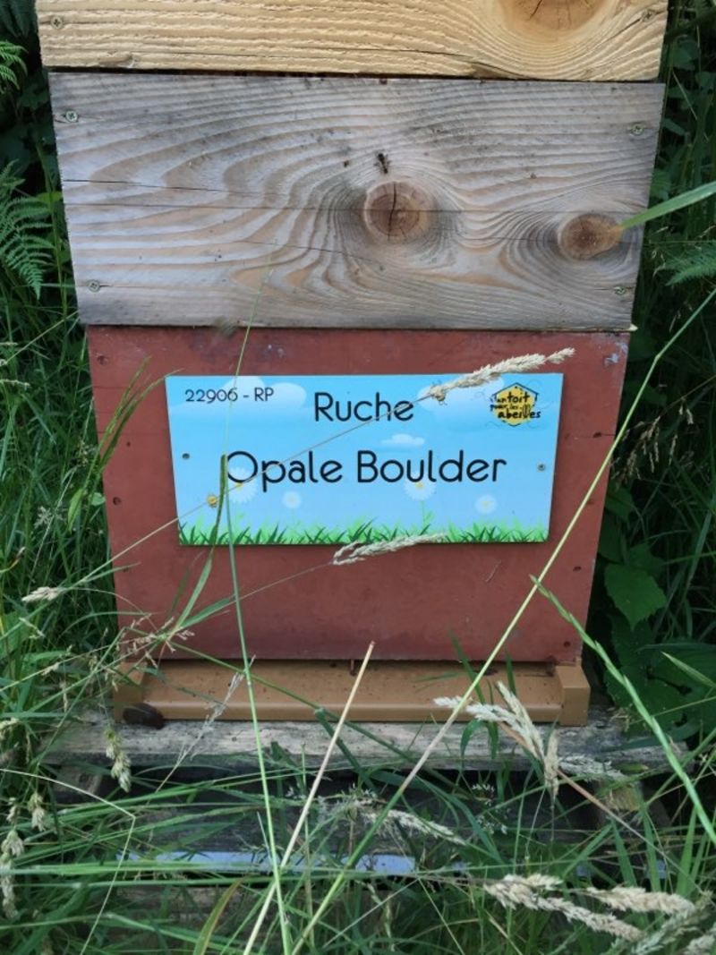 La ruche Opale Boulder