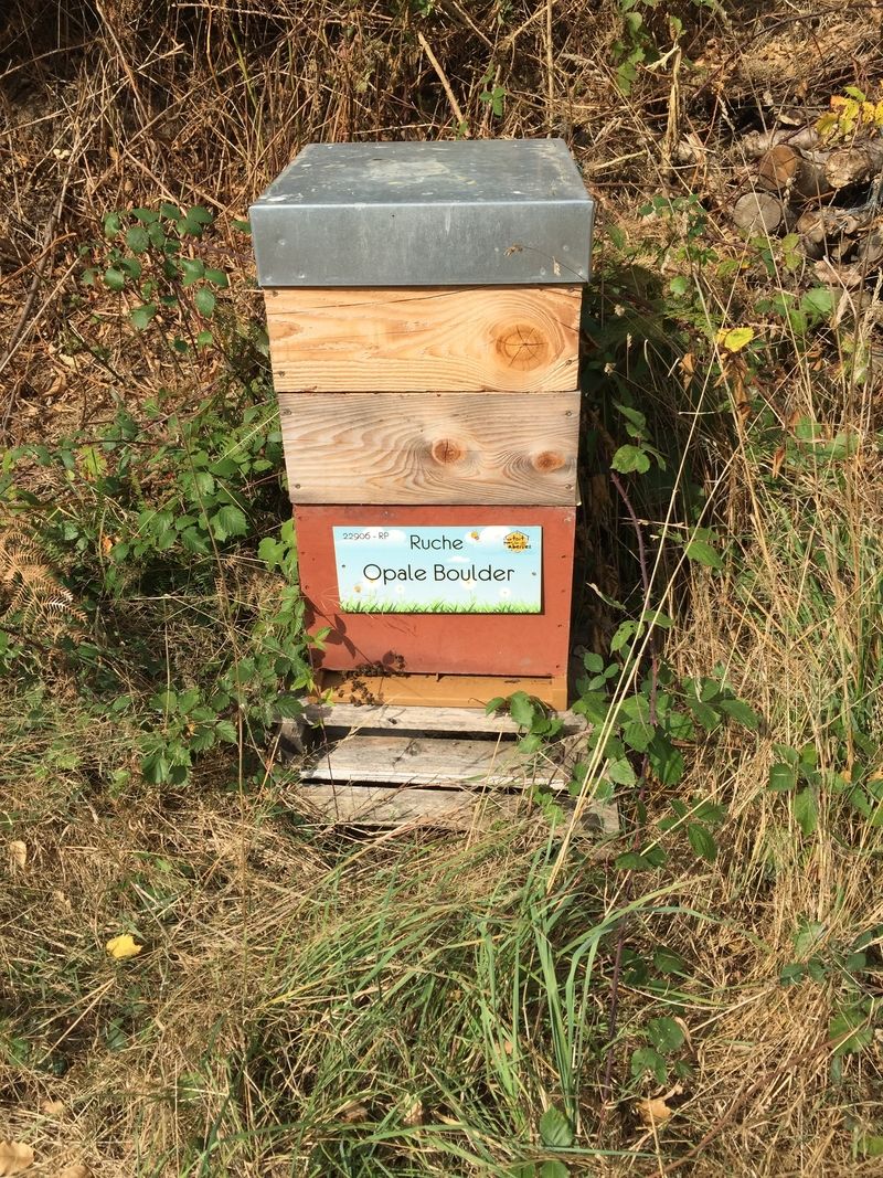 La ruche Opale Boulder