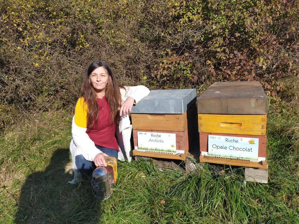 La ruche Opale Chocolat