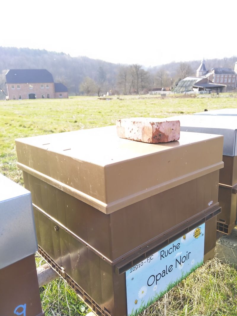 La ruche Opale Noir