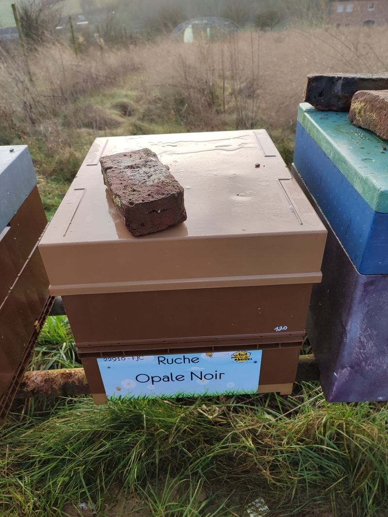 La ruche Opale Noir