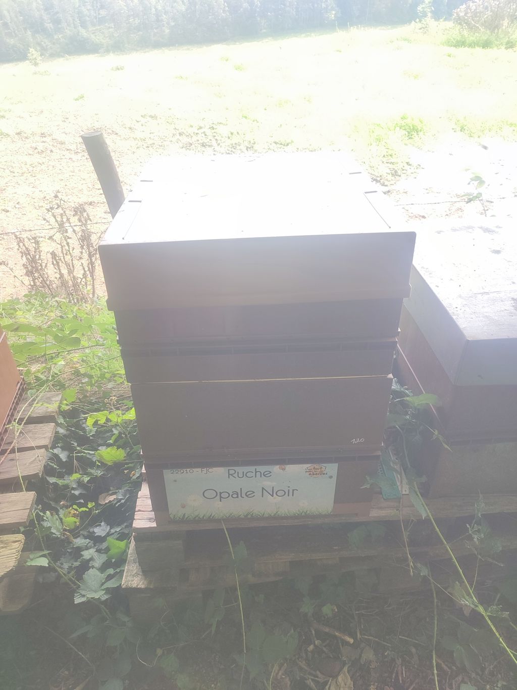 La ruche Opale Noir