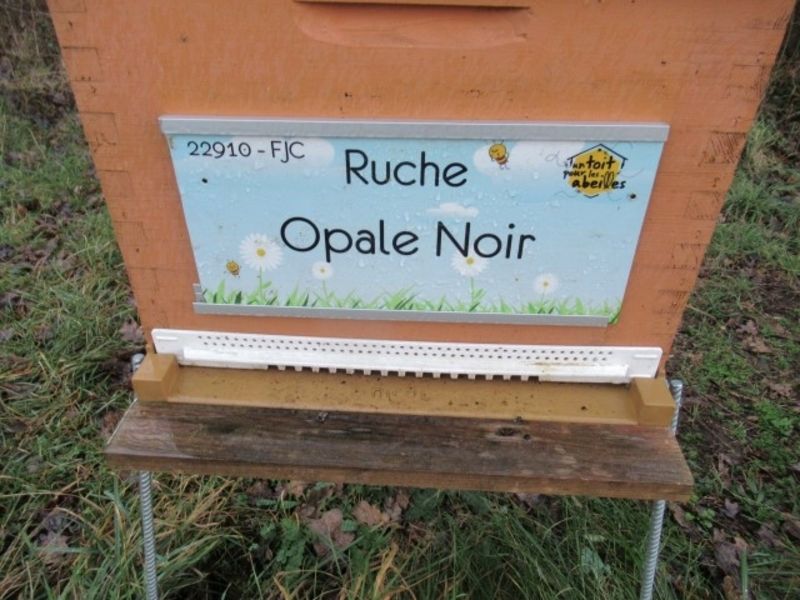 La ruche Opale Noir