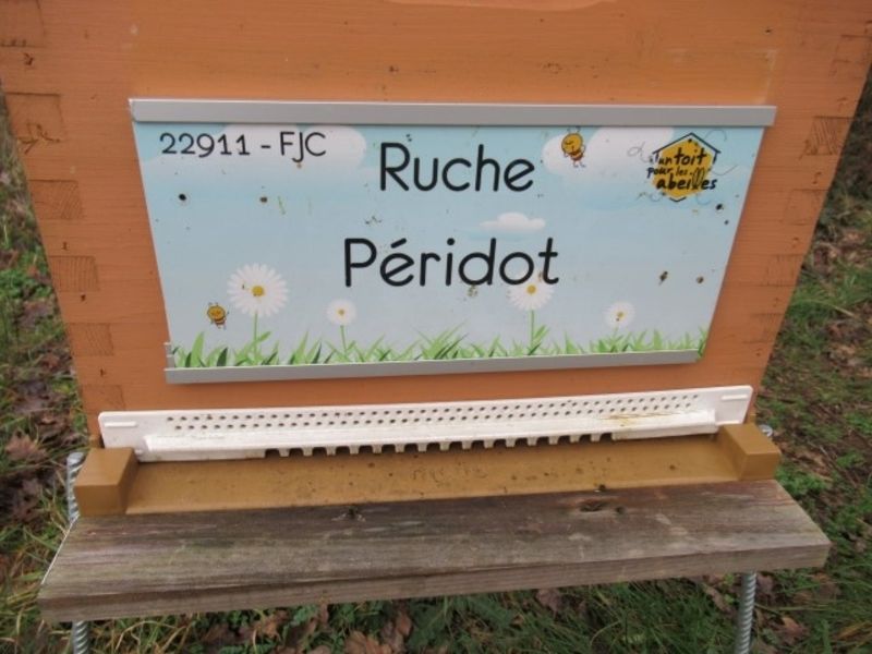 La ruche Péridot