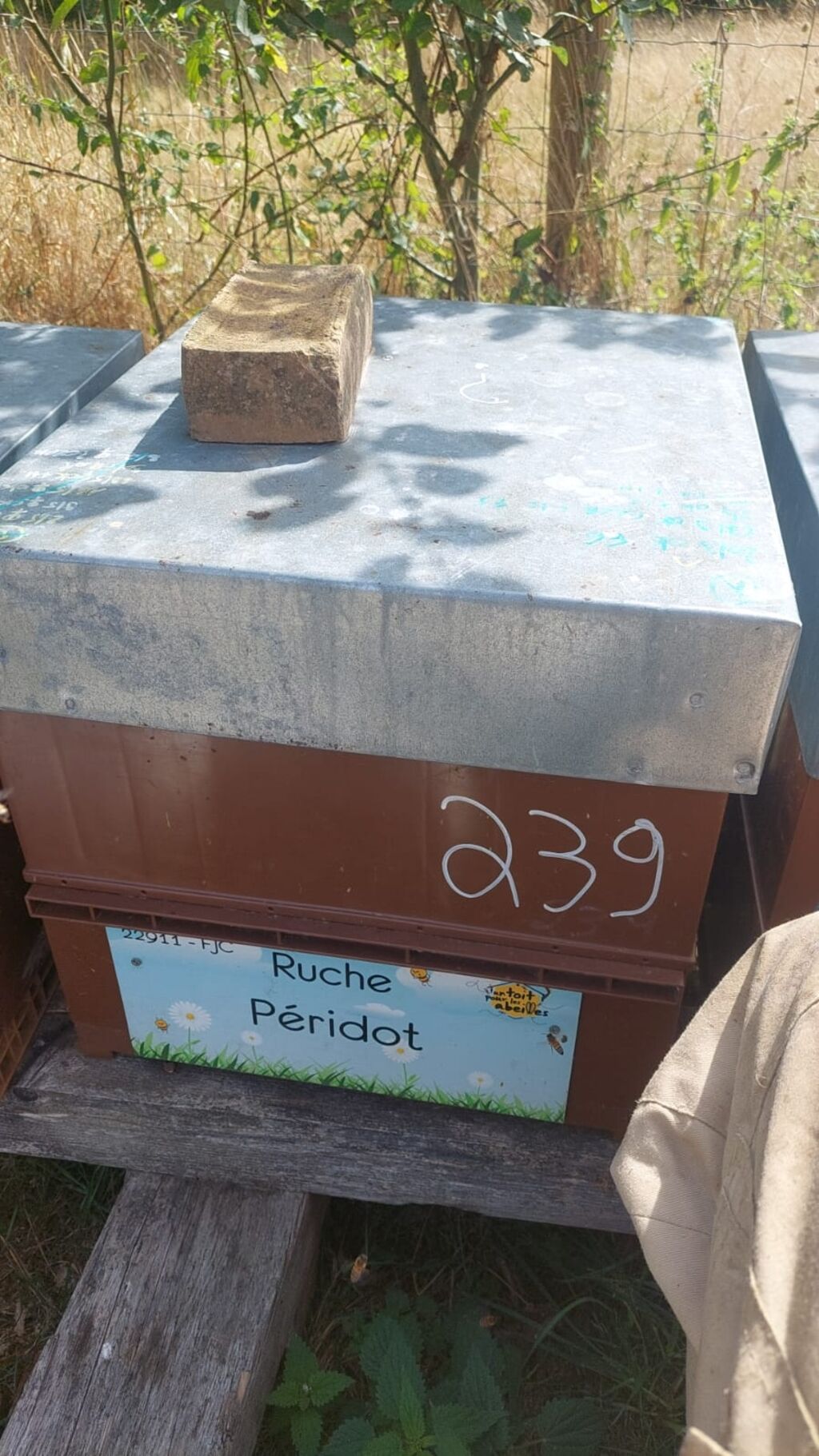La ruche Péridot