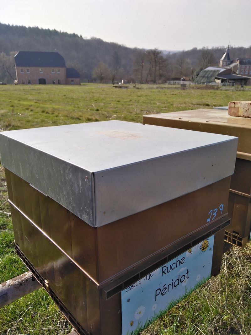La ruche Péridot