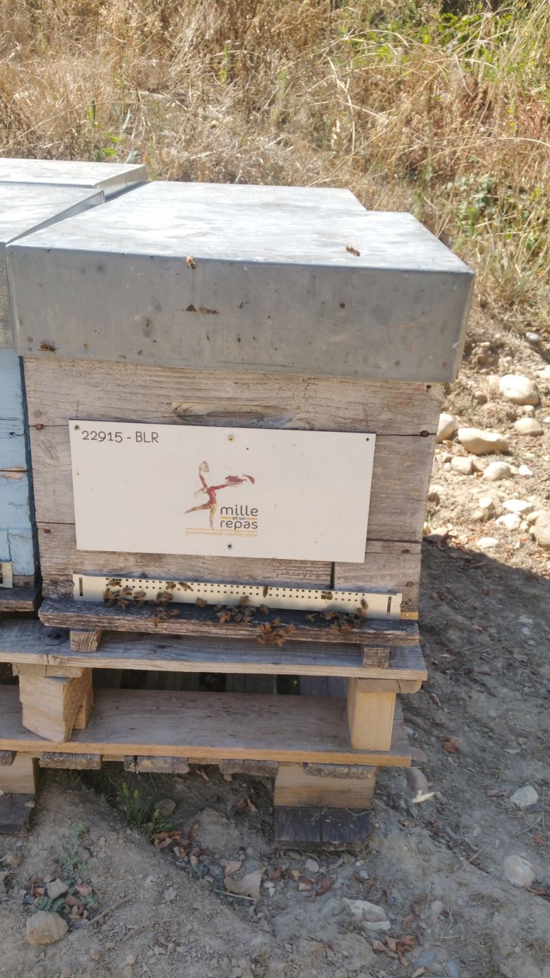 La ruche MILLE ET UN REPAS
