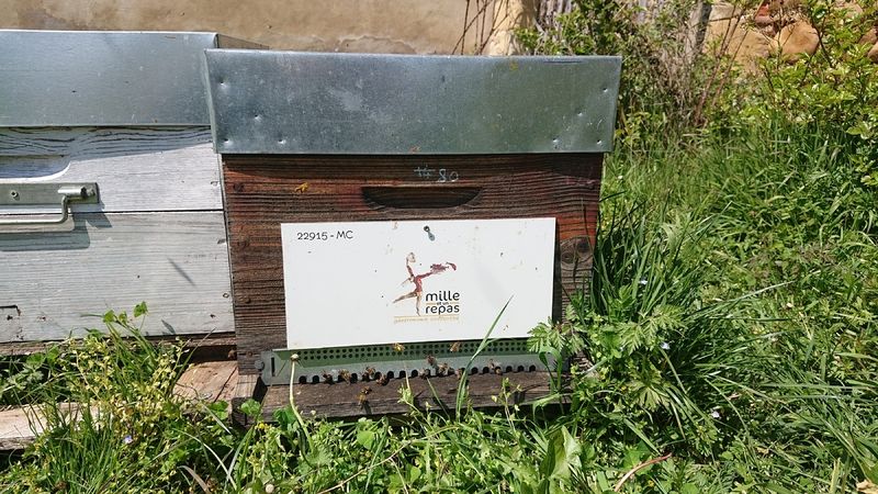 La ruche MILLE ET UN REPAS