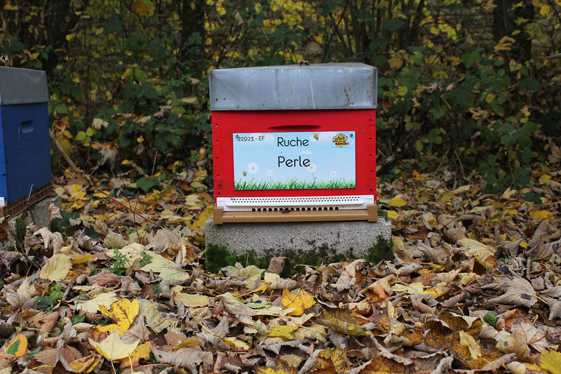 La ruche Perle