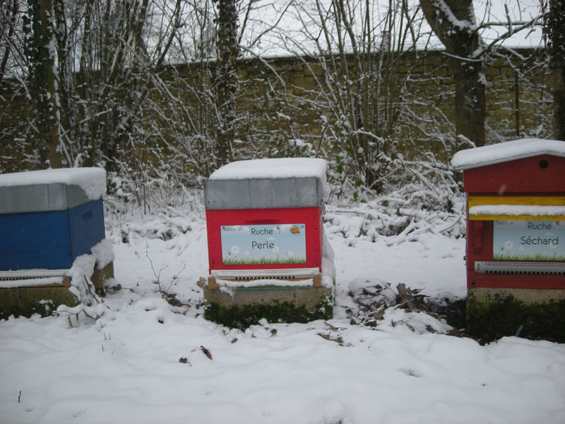 La ruche Perle