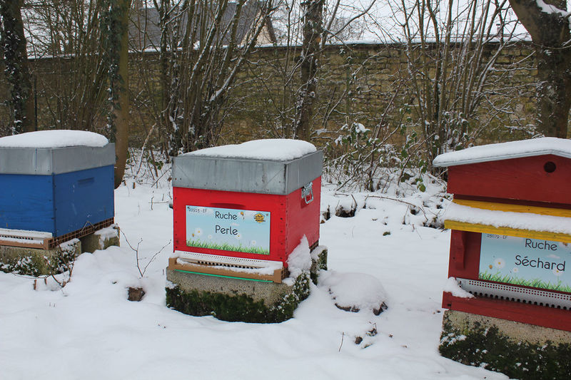 La ruche Perle