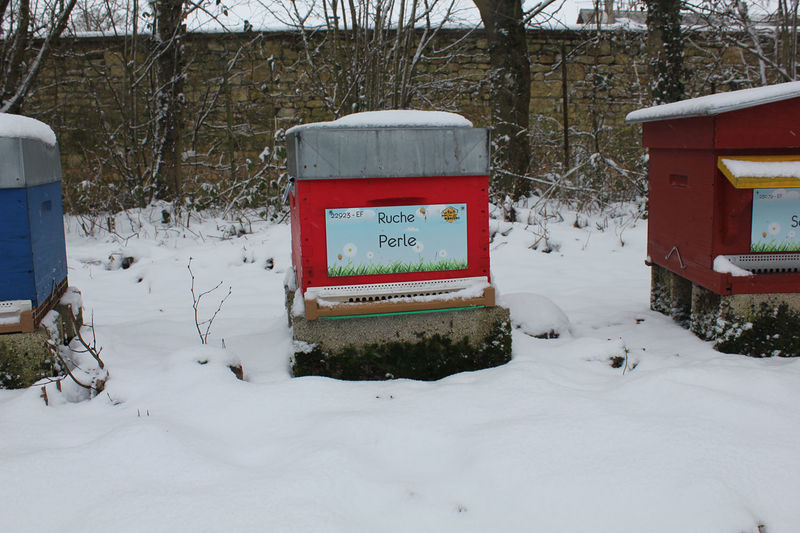 La ruche Perle