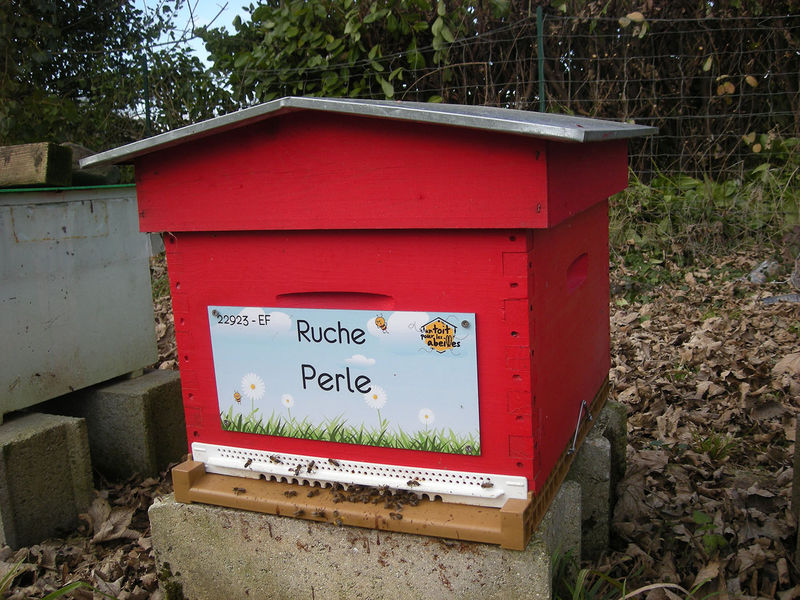 La ruche Perle