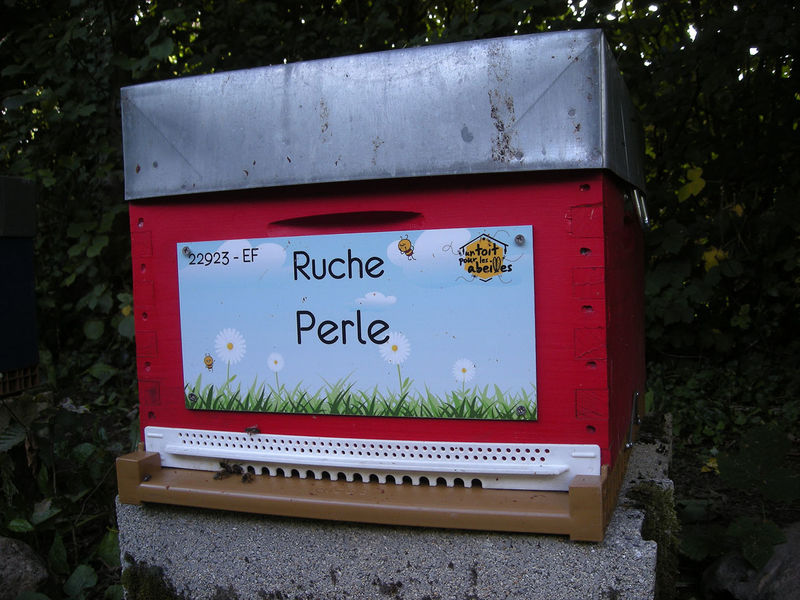 La ruche Perle