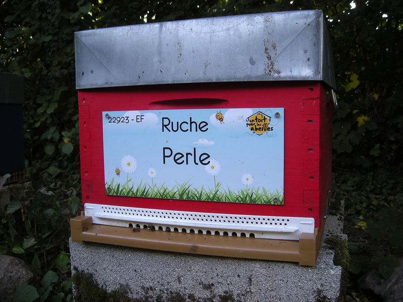 La ruche Perle