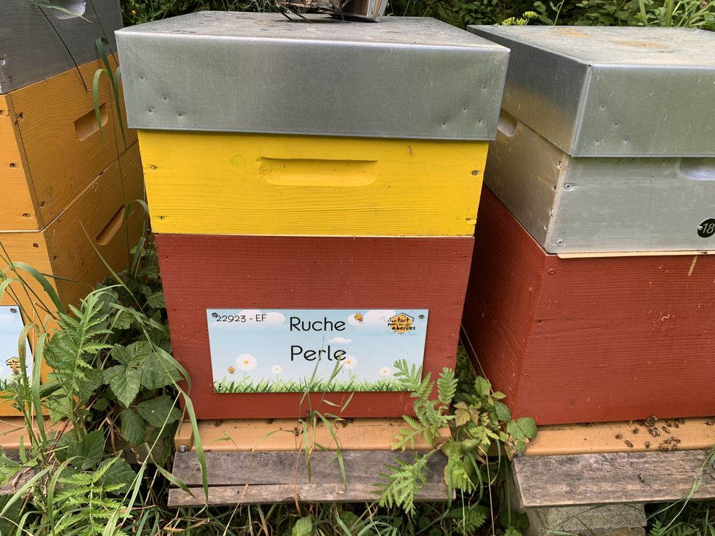 La ruche Perle