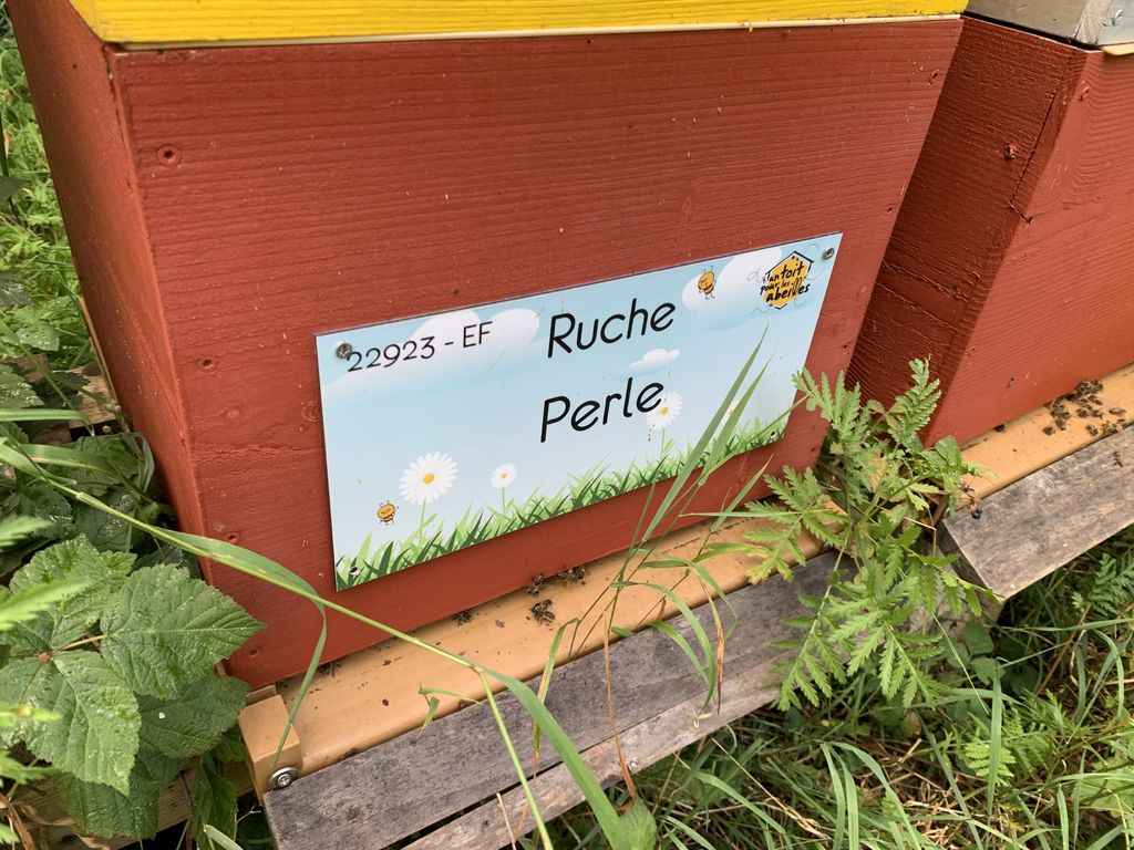 La ruche Perle