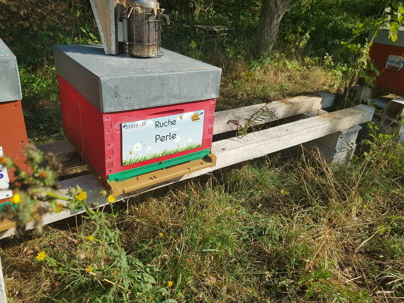 La ruche Perle