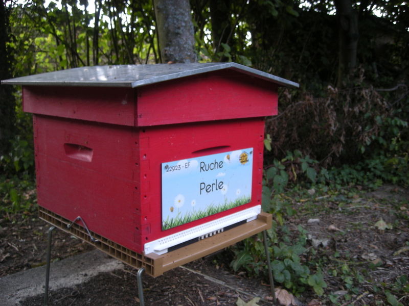 La ruche Perle