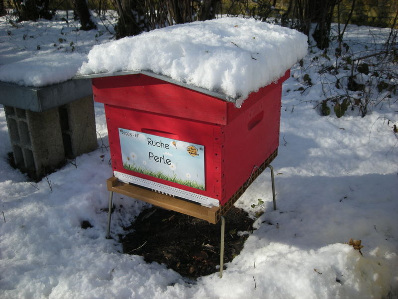 La ruche Perle