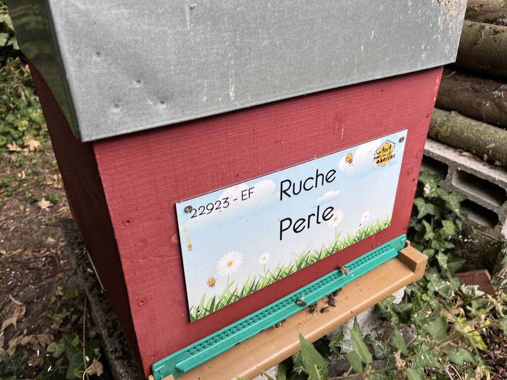 La ruche Perle