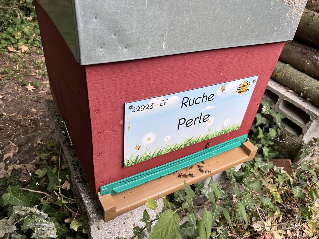 La ruche Perle
