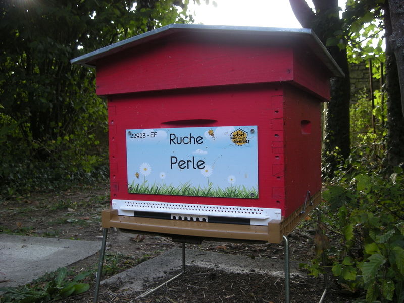 La ruche Perle