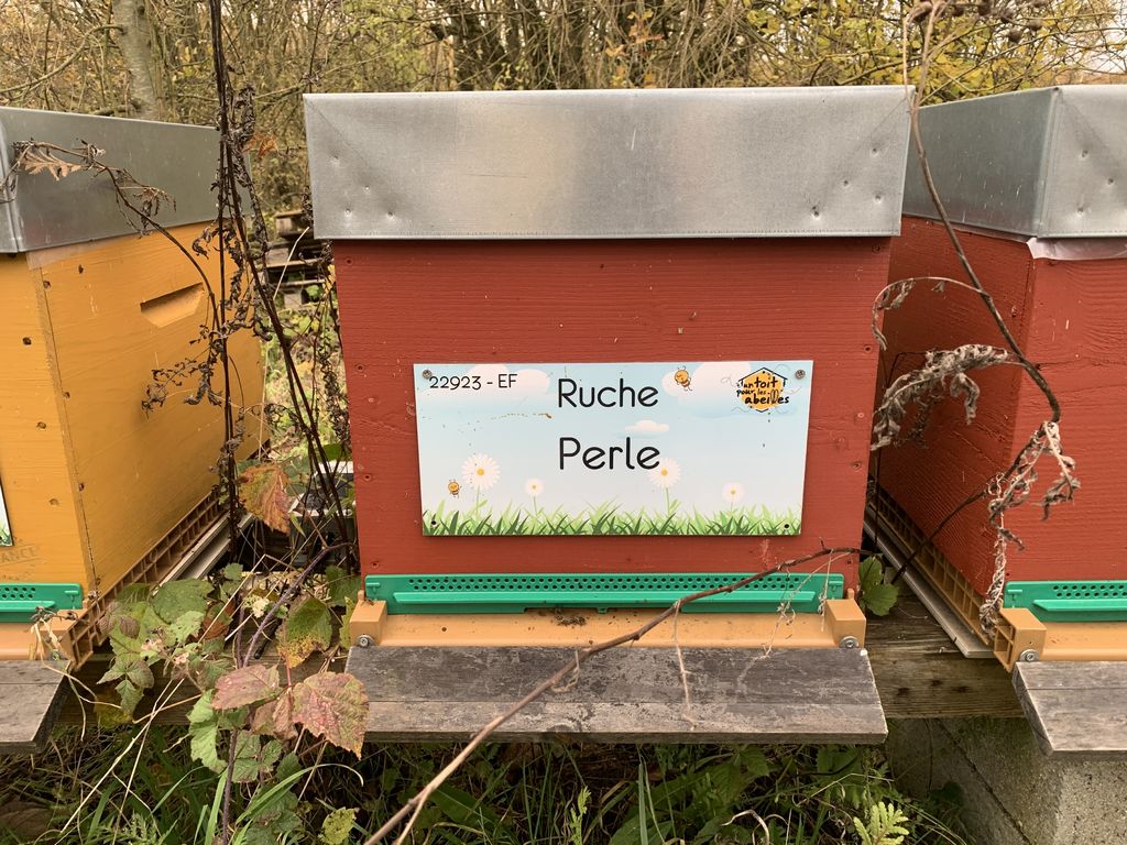 La ruche Perle
