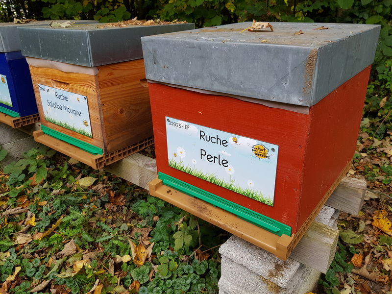 La ruche Perle