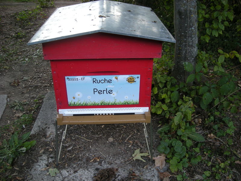 La ruche Perle