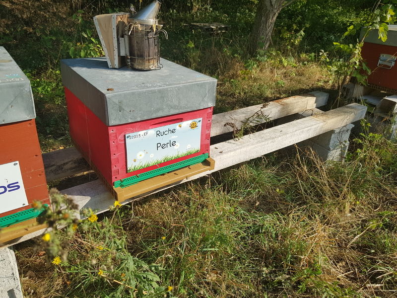La ruche Perle
