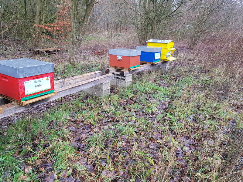 La ruche Perle