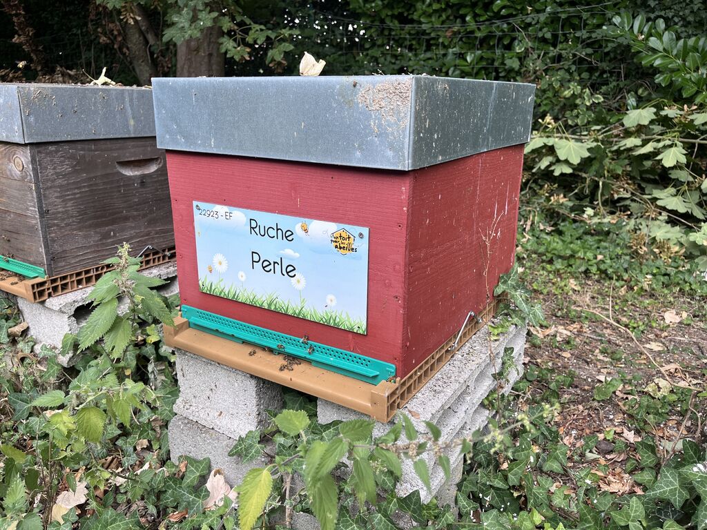 La ruche Perle
