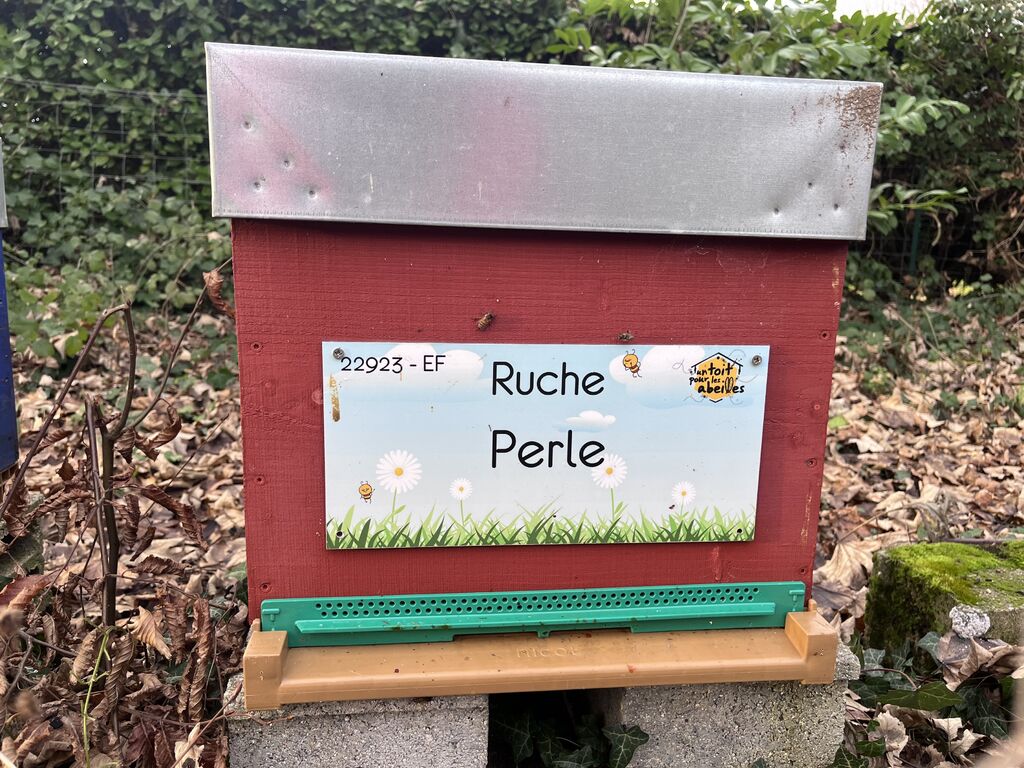 La ruche Perle
