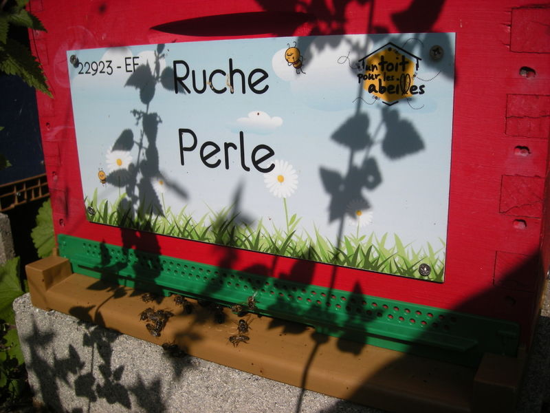 La ruche Perle