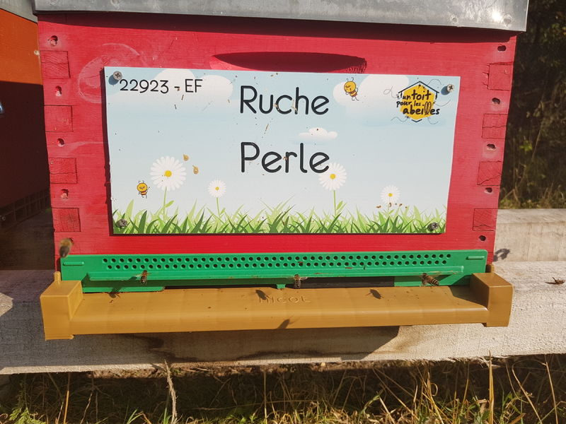 La ruche Perle