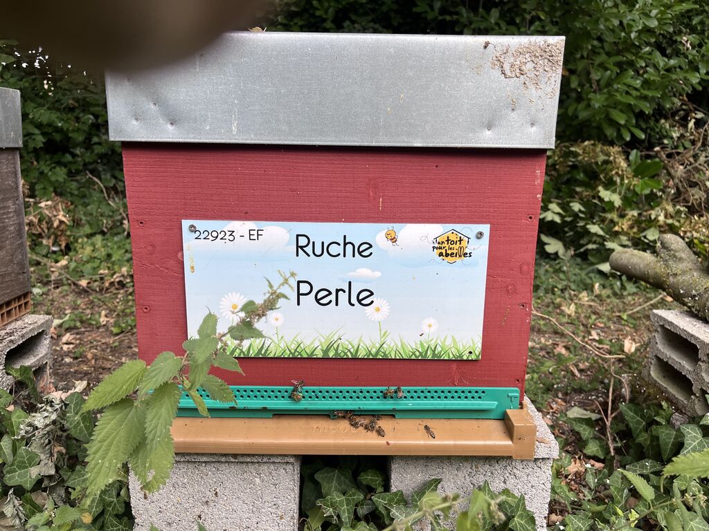 La ruche Perle