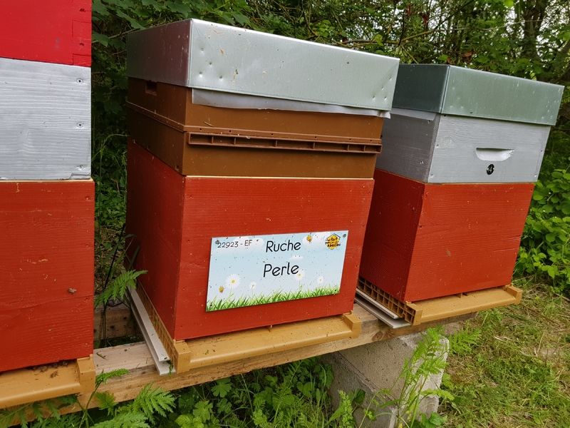 La ruche Perle
