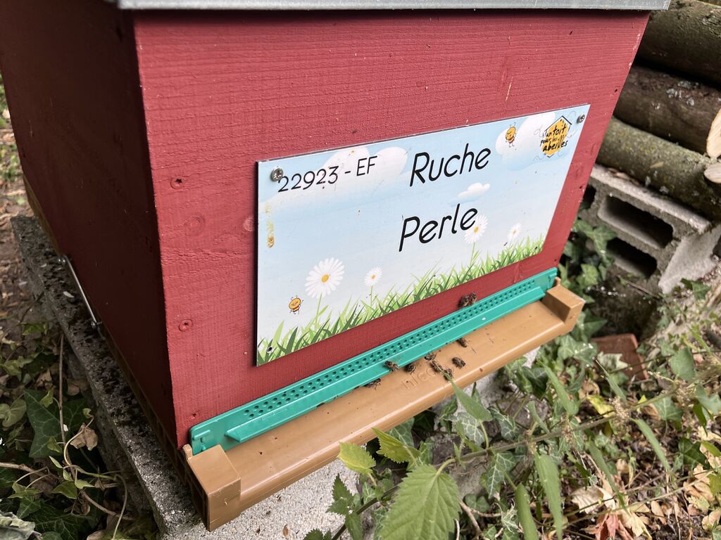 La ruche Perle
