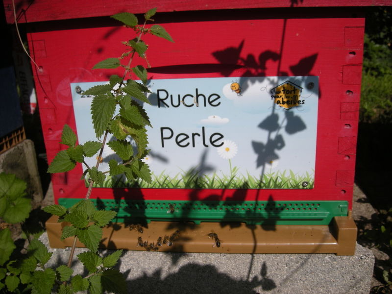 La ruche Perle