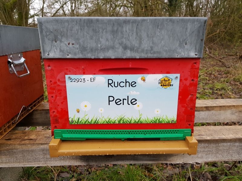 La ruche Perle
