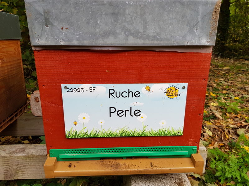 La ruche Perle