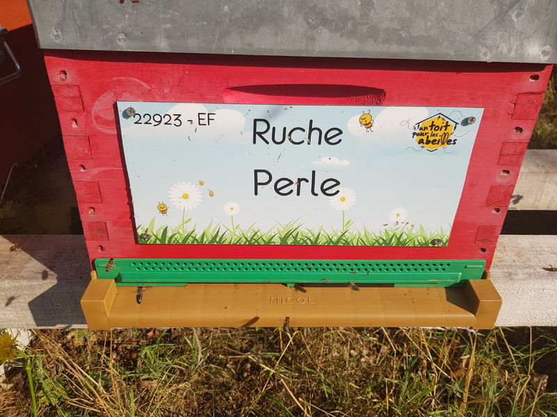 La ruche Perle