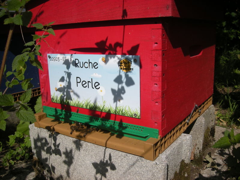La ruche Perle