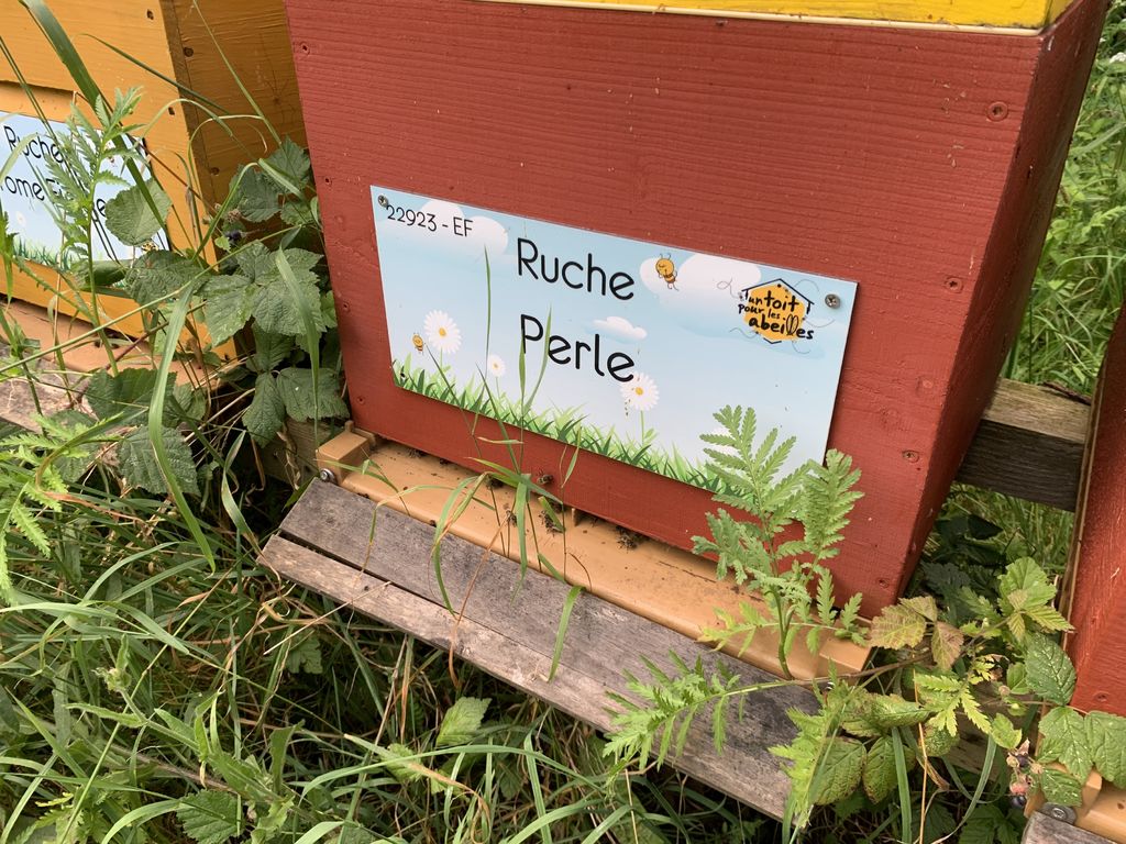 La ruche Perle