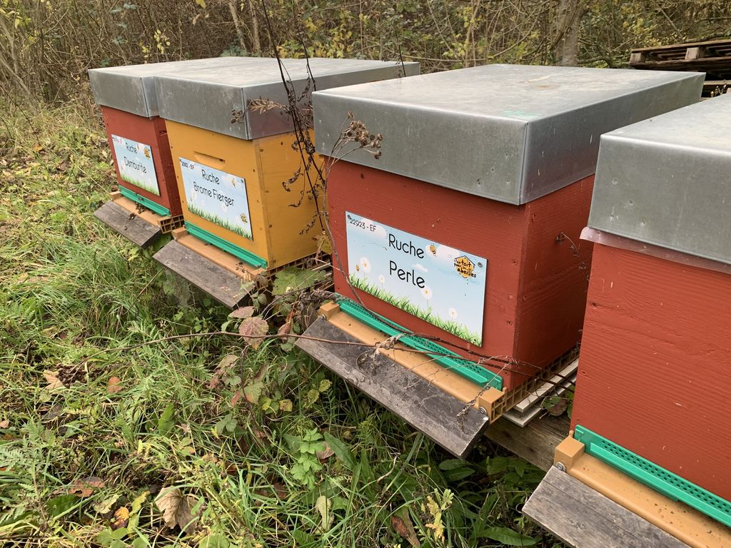 La ruche Perle