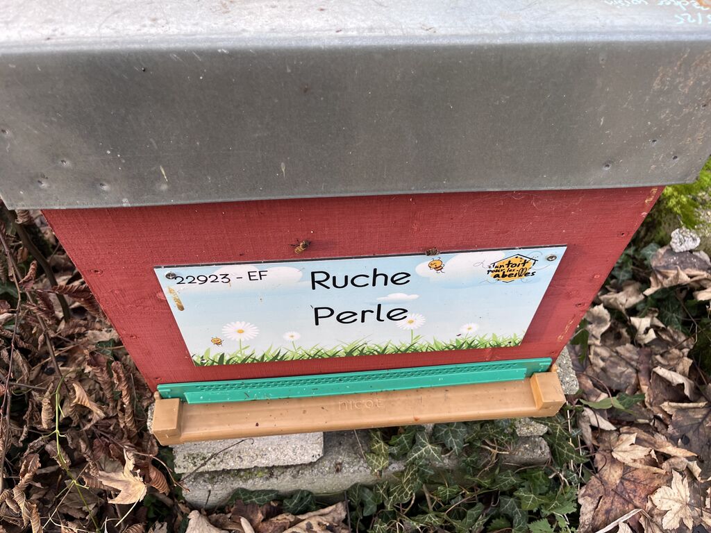 La ruche Perle