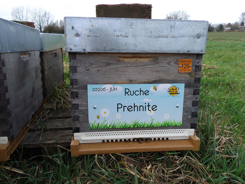 La ruche