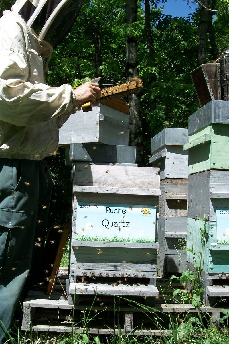 La ruche Quartz